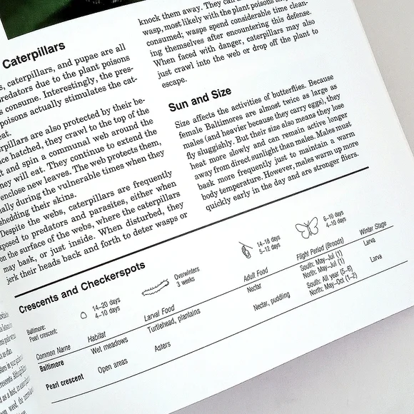 The Butterfly Book by Stokes and Williams - Picture 10 of 13